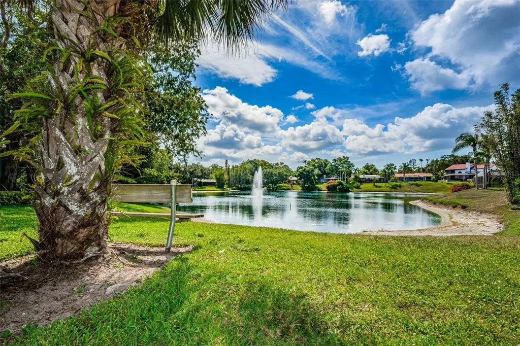 2829 Tangelo Way Palm Harbor FL 34684