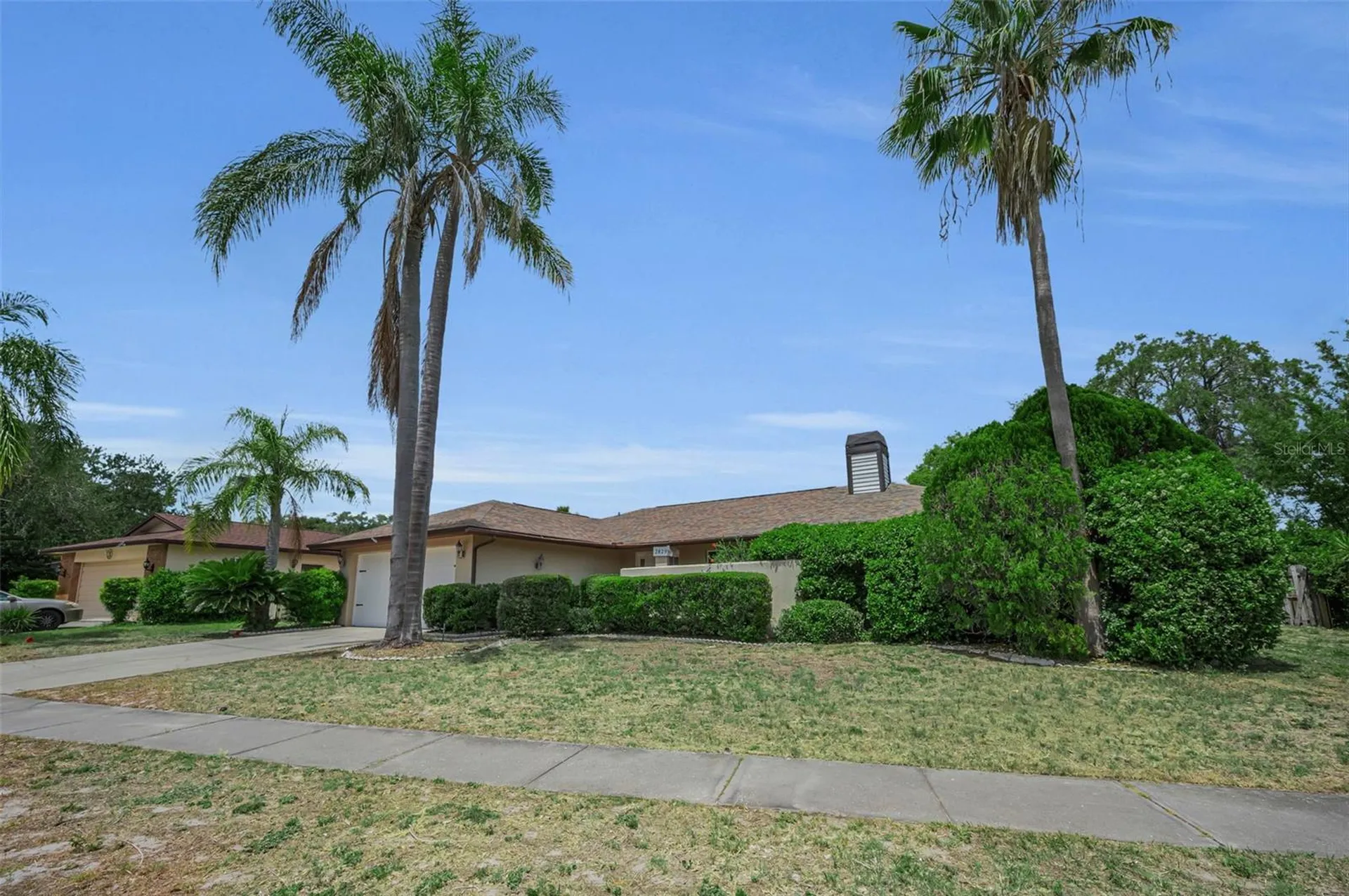 2829 Tangelo Way Palm Harbor FL 34684