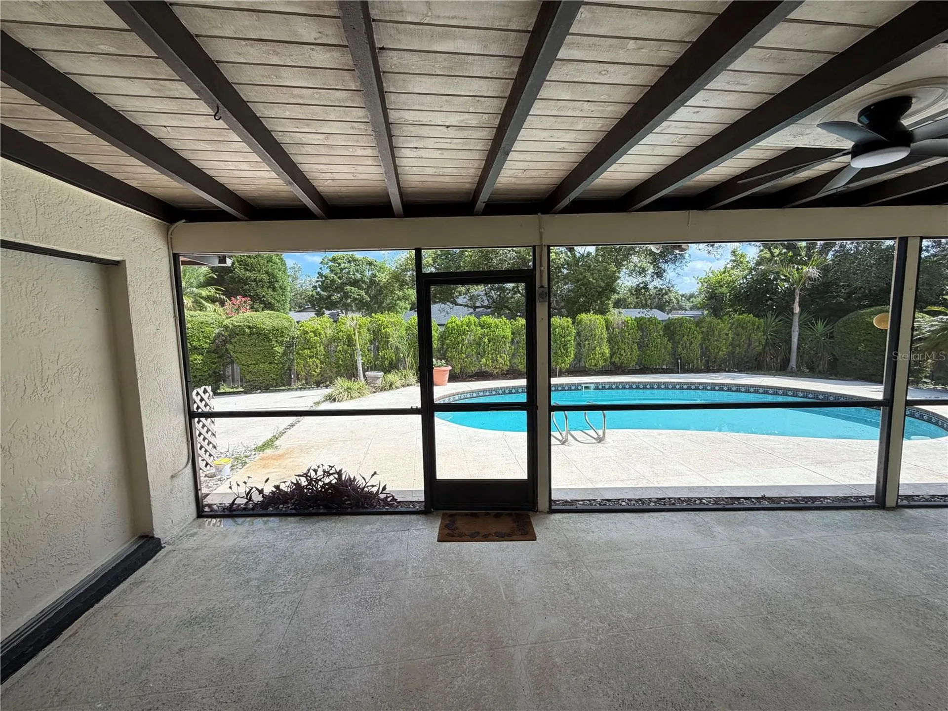 2829 Tangelo Way Palm Harbor FL 34684