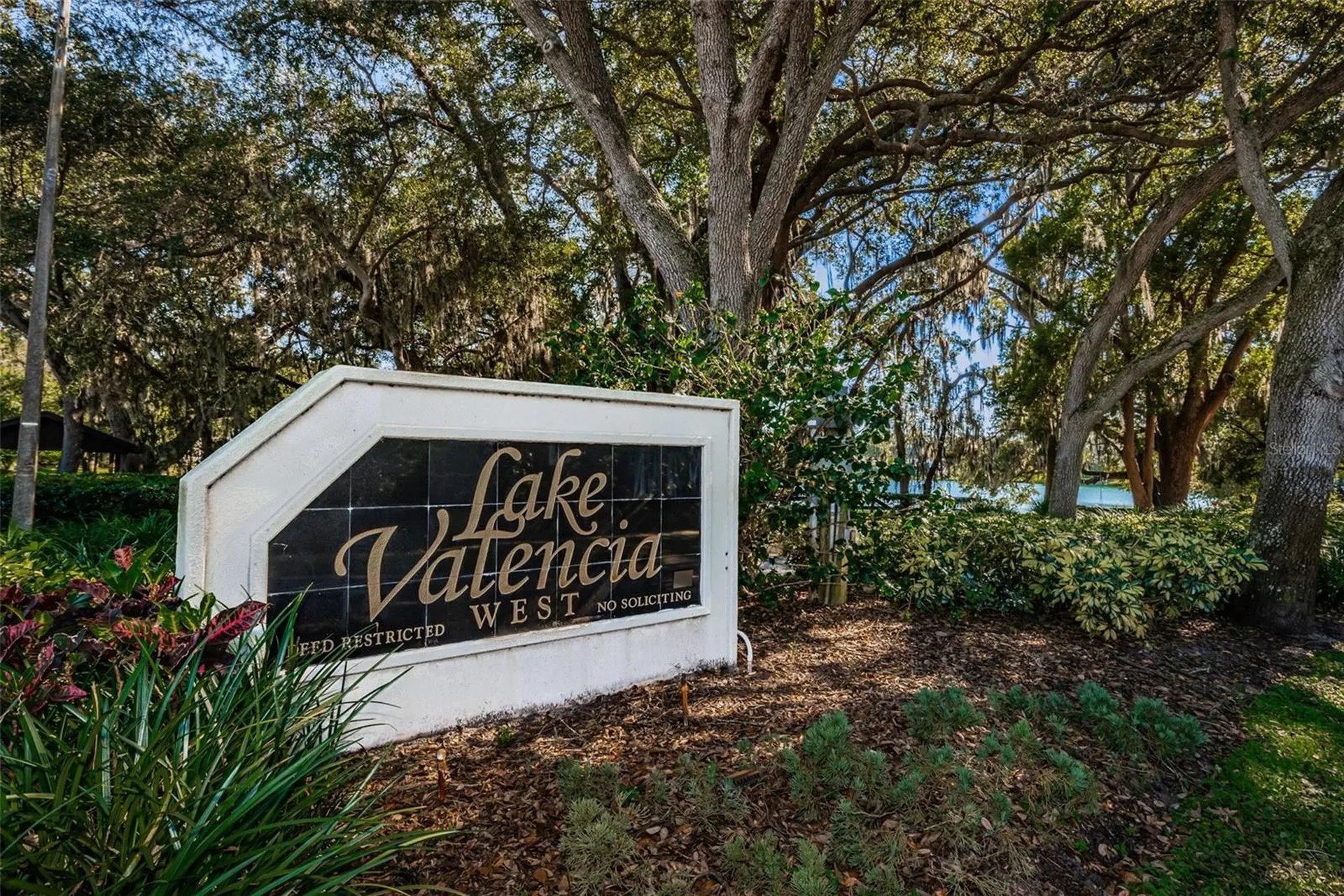 2829 Tangelo Way Palm Harbor FL 34684