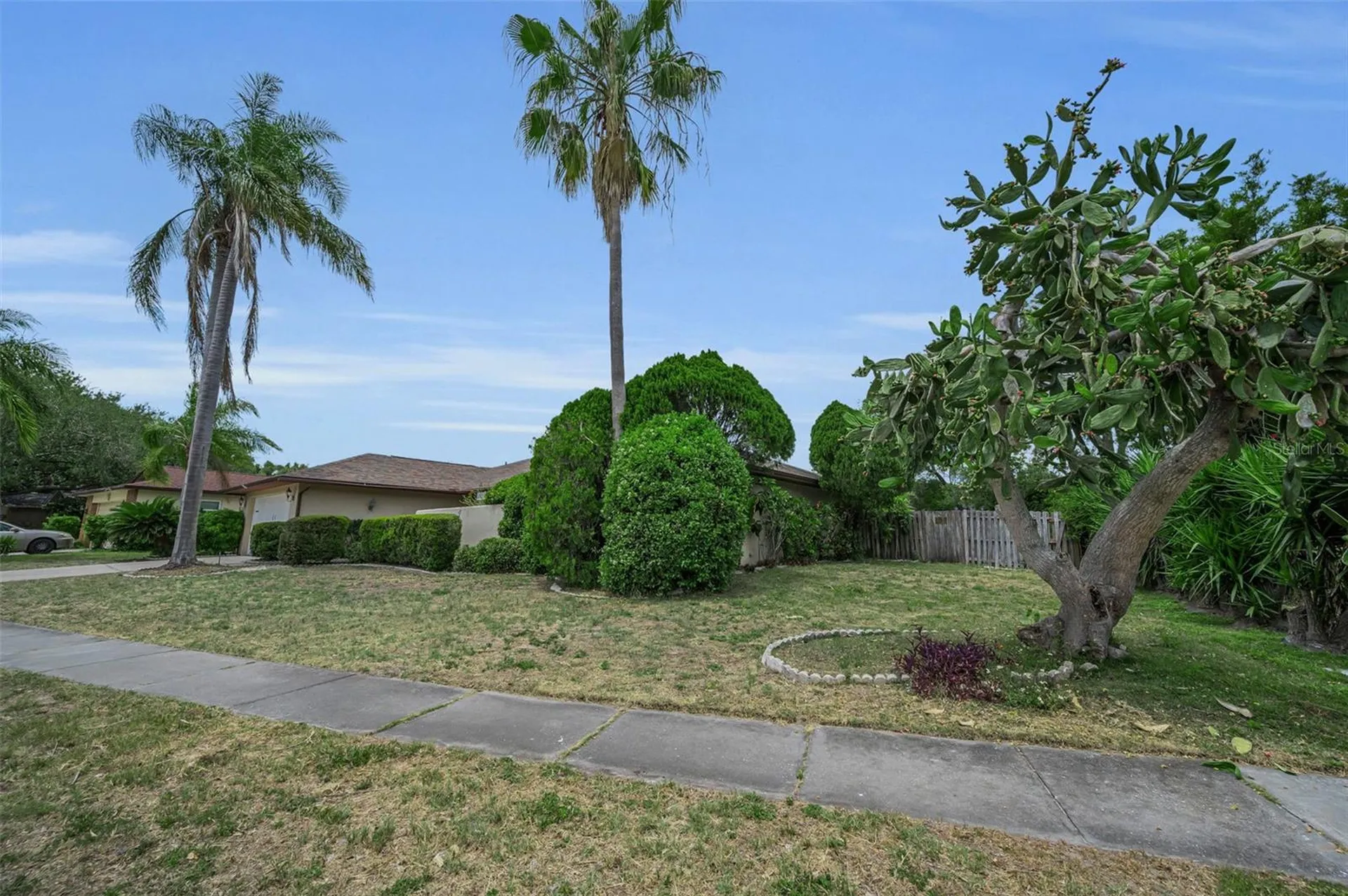 2829 Tangelo Way Palm Harbor FL 34684