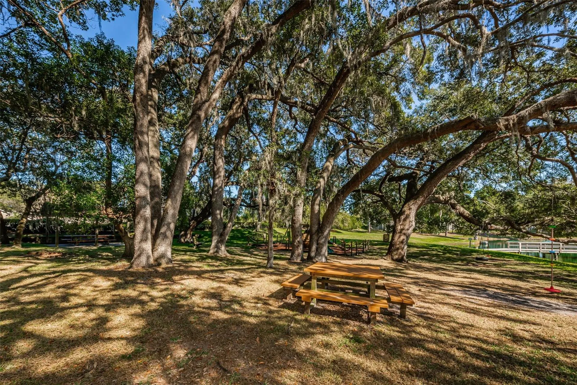2829 Tangelo Way Palm Harbor FL 34684