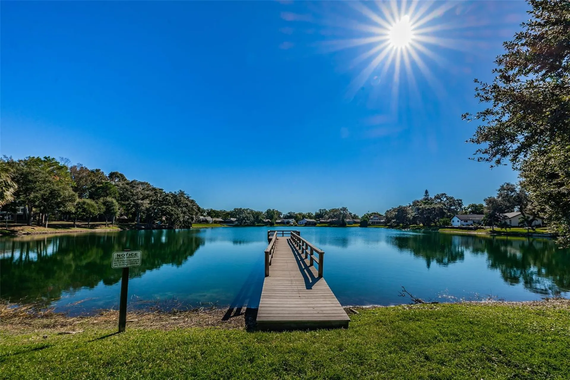 2829 Tangelo Way Palm Harbor FL 34684