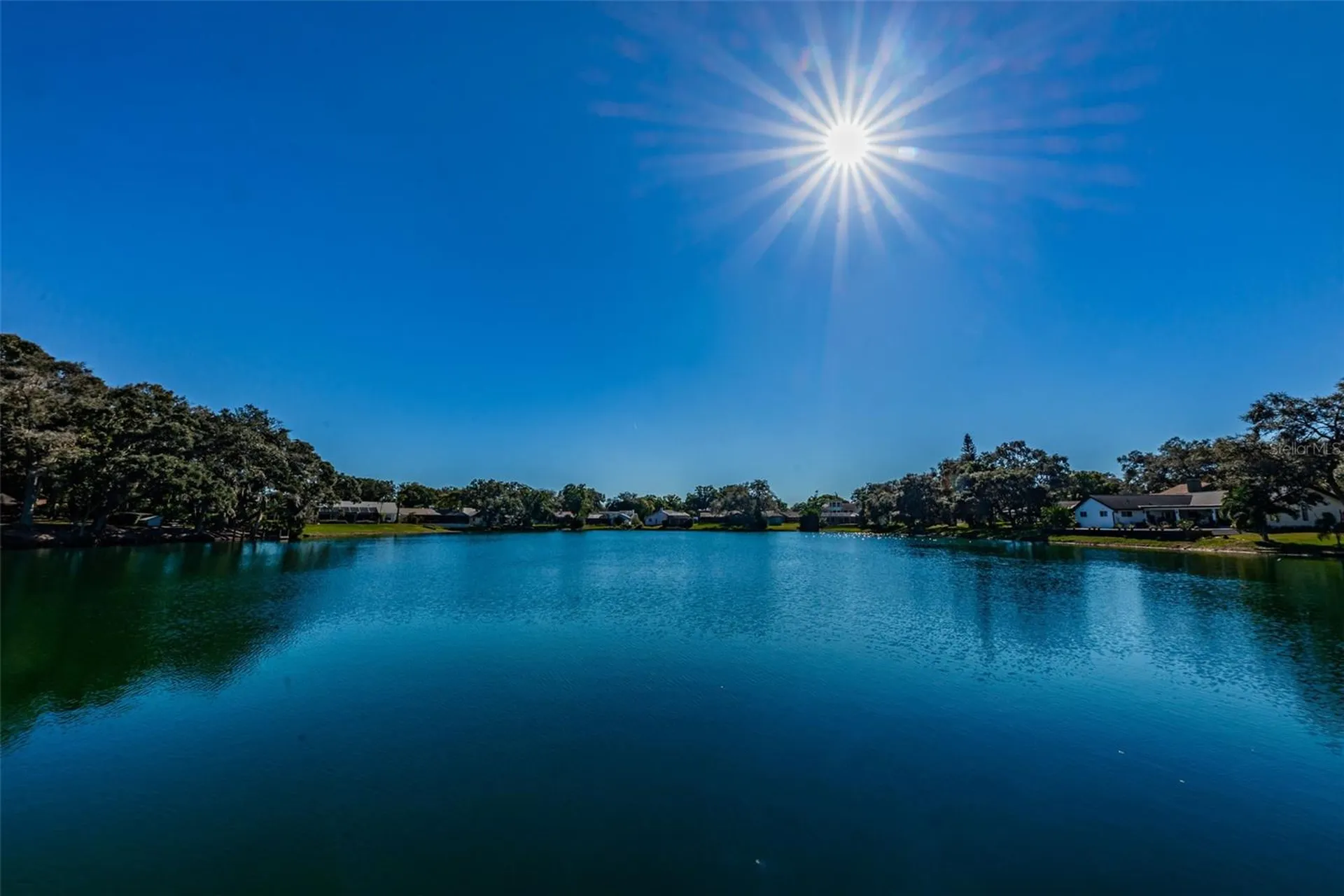 2829 Tangelo Way Palm Harbor FL 34684