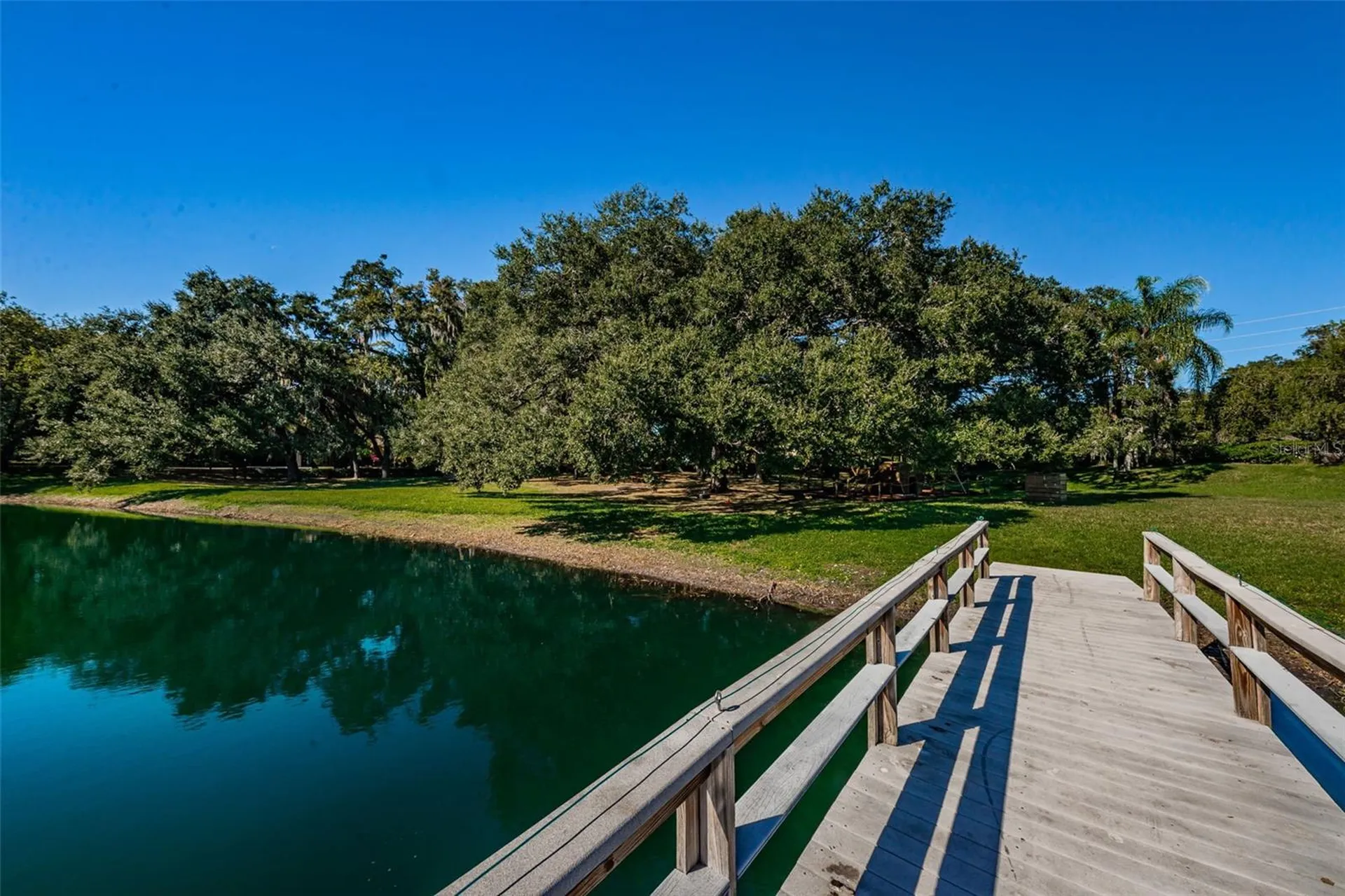 2829 Tangelo Way Palm Harbor FL 34684