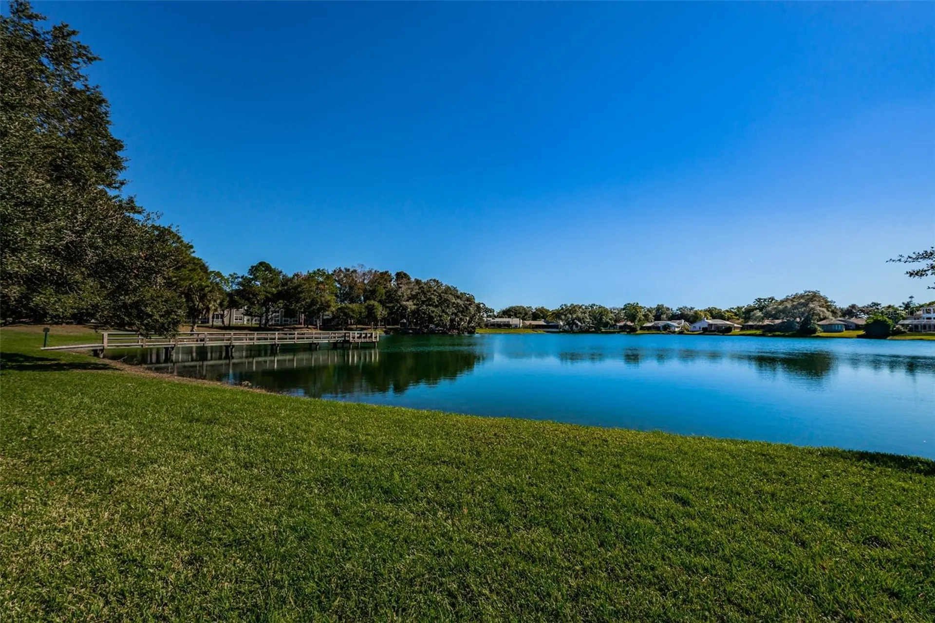 2829 Tangelo Way Palm Harbor FL 34684