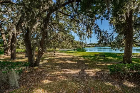 2829 Tangelo Way Palm Harbor FL 34684