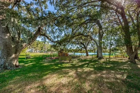 2829 Tangelo Way Palm Harbor FL 34684