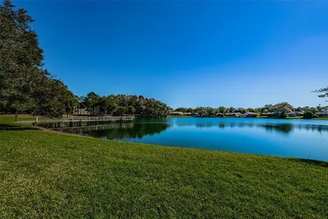 2829 Tangelo Way Palm Harbor FL 34684