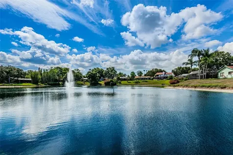 2829 Tangelo Way Palm Harbor FL 34684