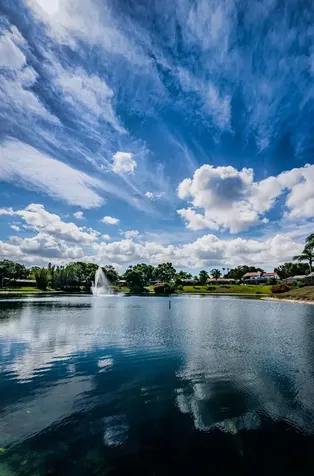 2829 Tangelo Way Palm Harbor FL 34684