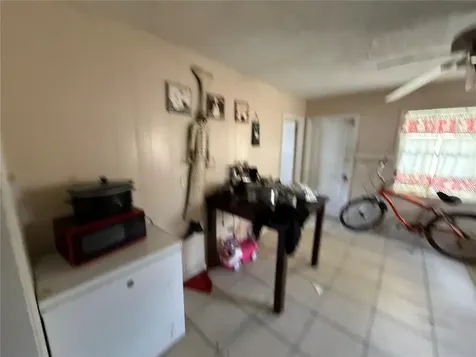 1013 N Ruth Avenue Lakeland FL 33805