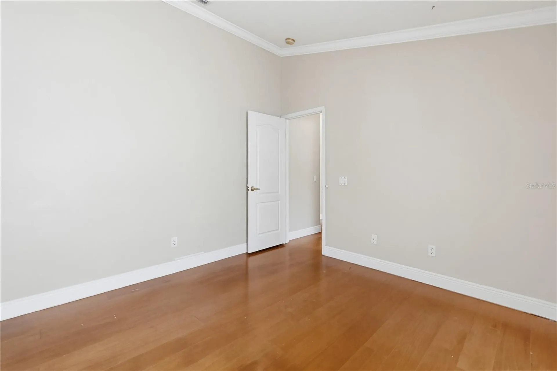 10115 Kingsbridge Avenue Tampa FL 33626
