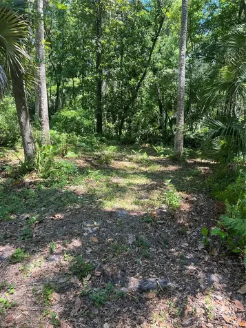 1735 Timocuan Way Longwood FL 32750