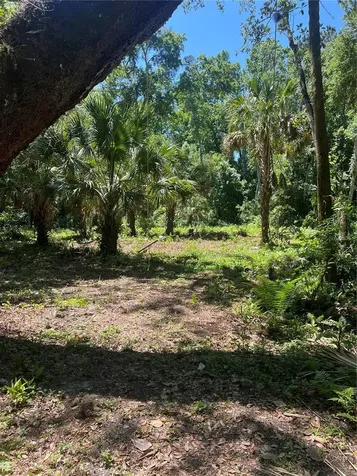 1735 Timocuan Way Longwood FL 32750