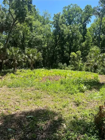 1735 Timocuan Way Longwood FL 32750