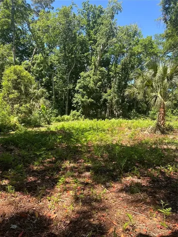 1735 Timocuan Way Longwood FL 32750