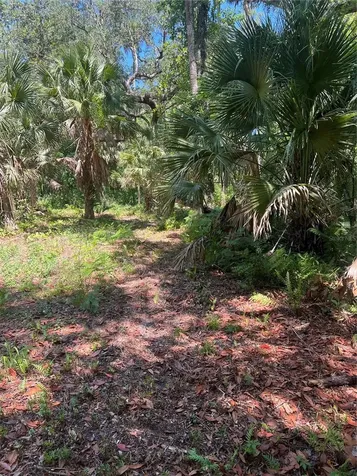 1735 Timocuan Way Longwood FL 32750