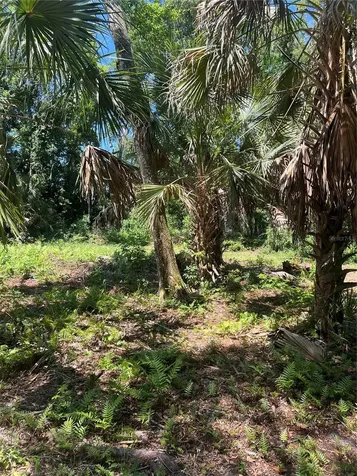 1735 Timocuan Way Longwood FL 32750