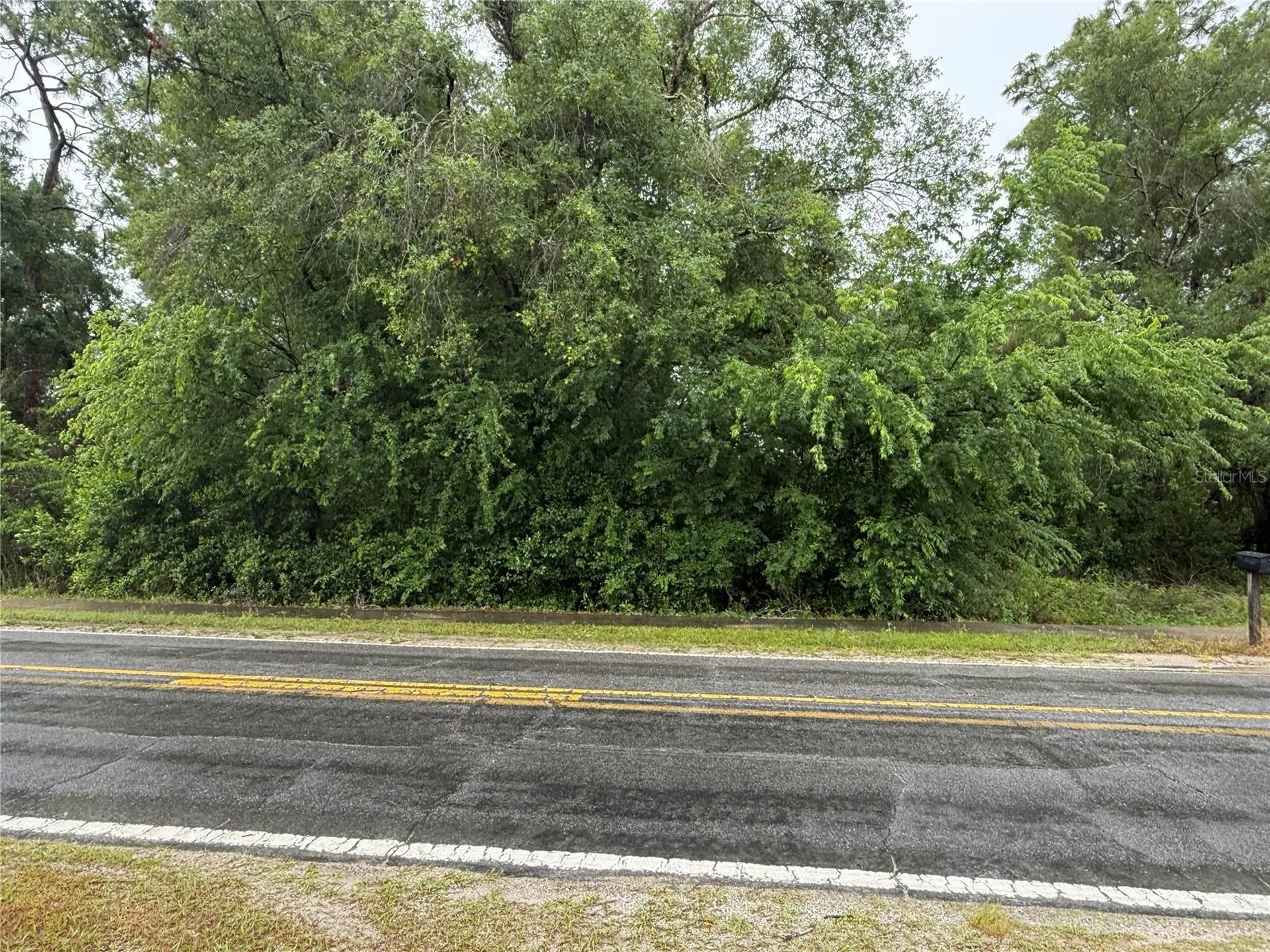 34184 Ridge Manor Boulevard Dade City FL 33523