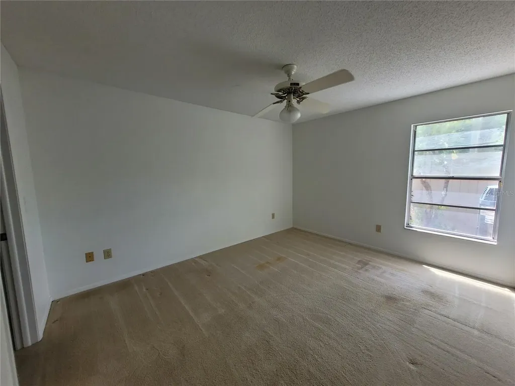 7125 Silvermill Drive Tampa FL 33635