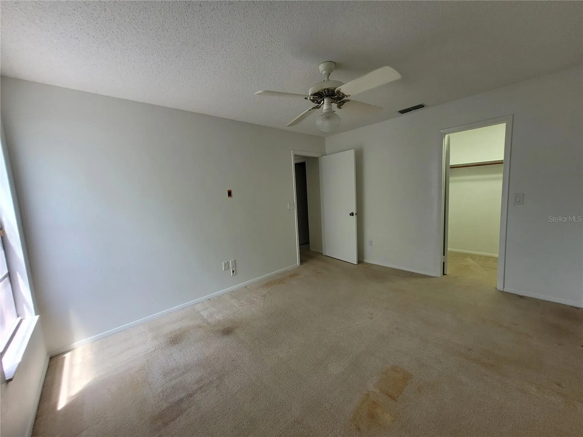 7125 Silvermill Drive Tampa FL 33635