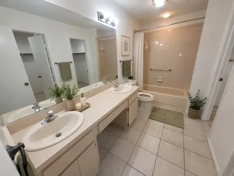 7125 Silvermill Drive Tampa FL 33635