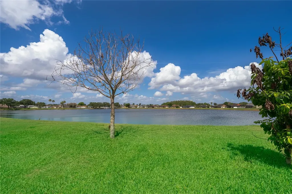 2654 Hawthorne Lane Kissimmee FL 34743