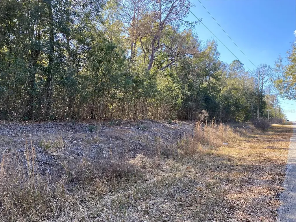Southwest Beach Boulevard Dunnellon FL 34431