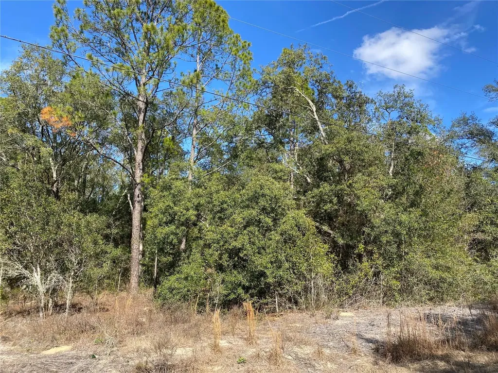 Southwest Beach Boulevard Dunnellon FL 34431