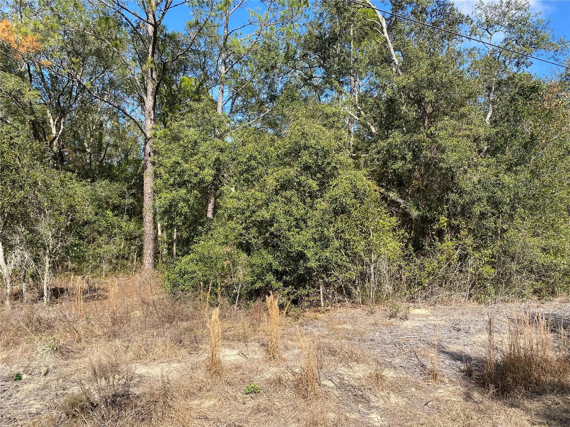 Southwest Beach Boulevard Dunnellon FL 34431