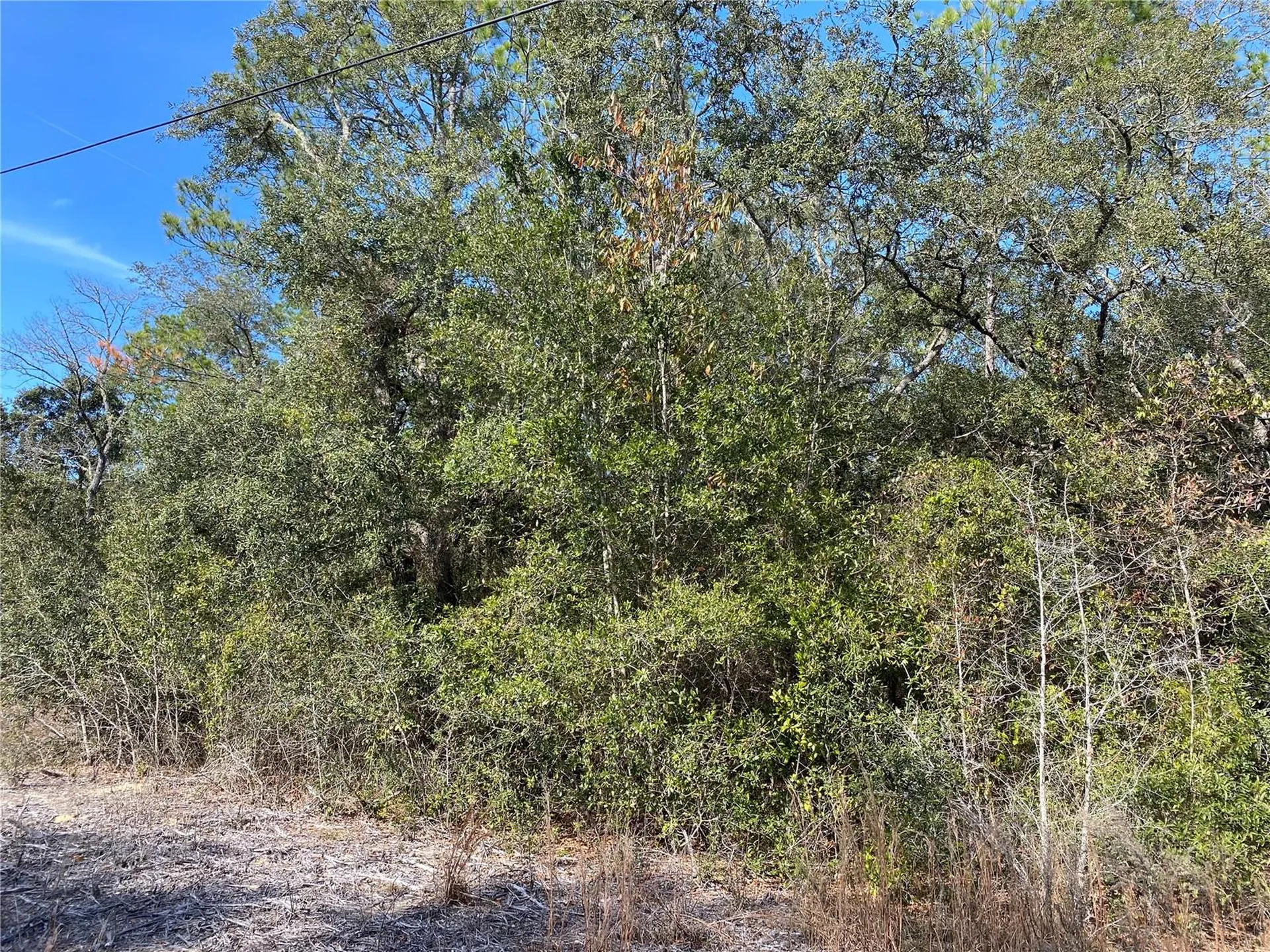 Southwest Beach Boulevard Dunnellon FL 34431