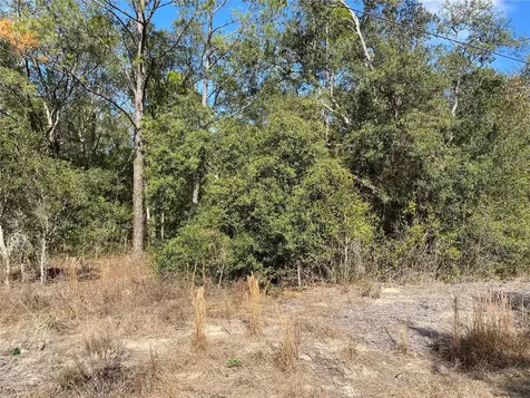 Southwest Beach Boulevard Dunnellon FL 34431