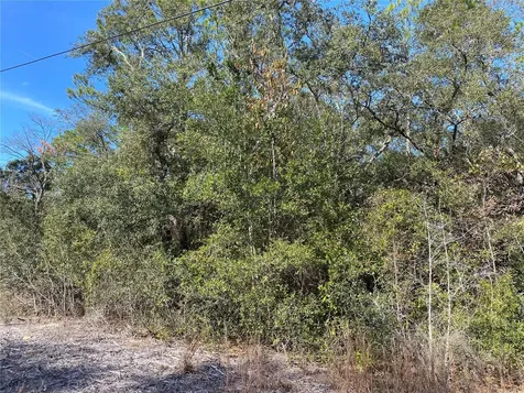 Southwest Beach Boulevard Dunnellon FL 34431