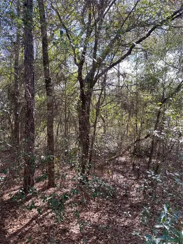 Southwest Beach Boulevard Dunnellon FL 34431