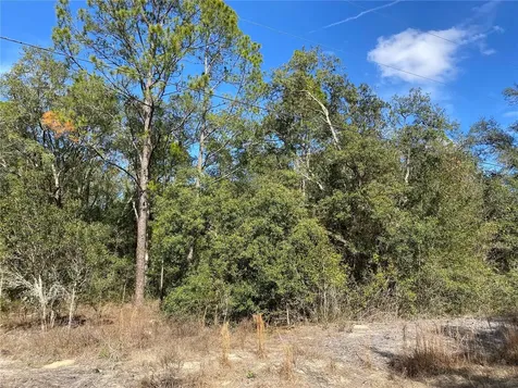 Southwest Beach Boulevard Dunnellon FL 34431