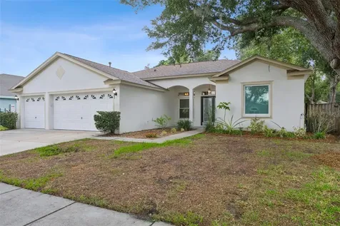 10113 Tantara Court Riverview FL 33578