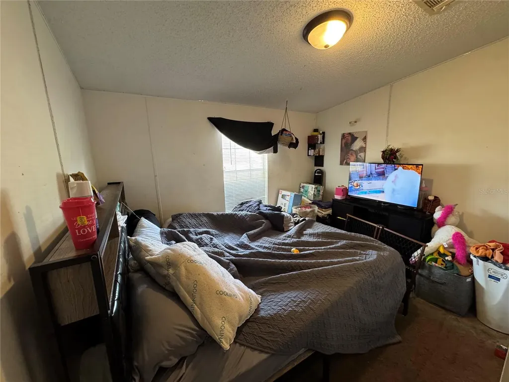 31601 Spruce Drive Eustis FL 32736