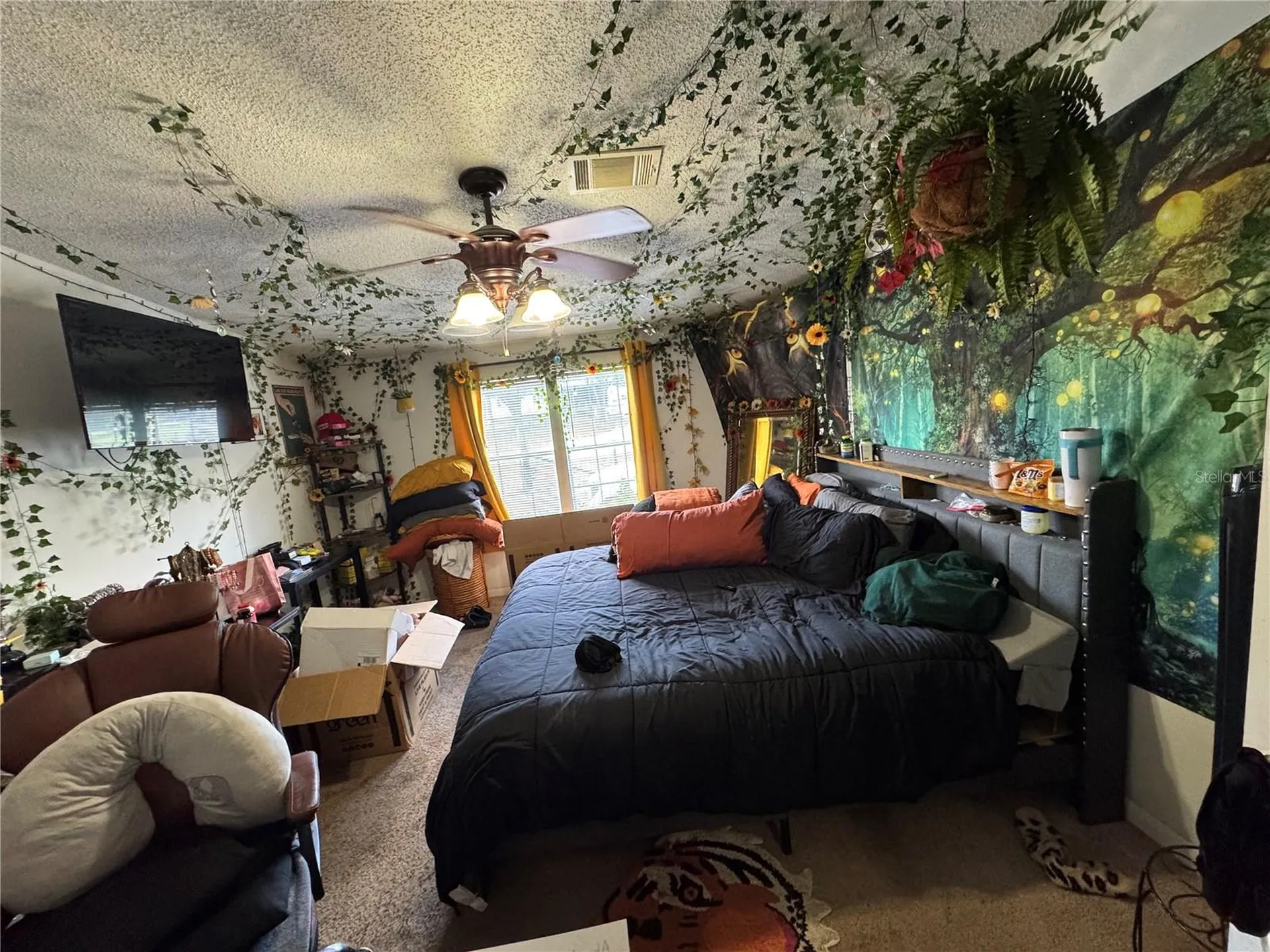 31601 Spruce Drive Eustis FL 32736