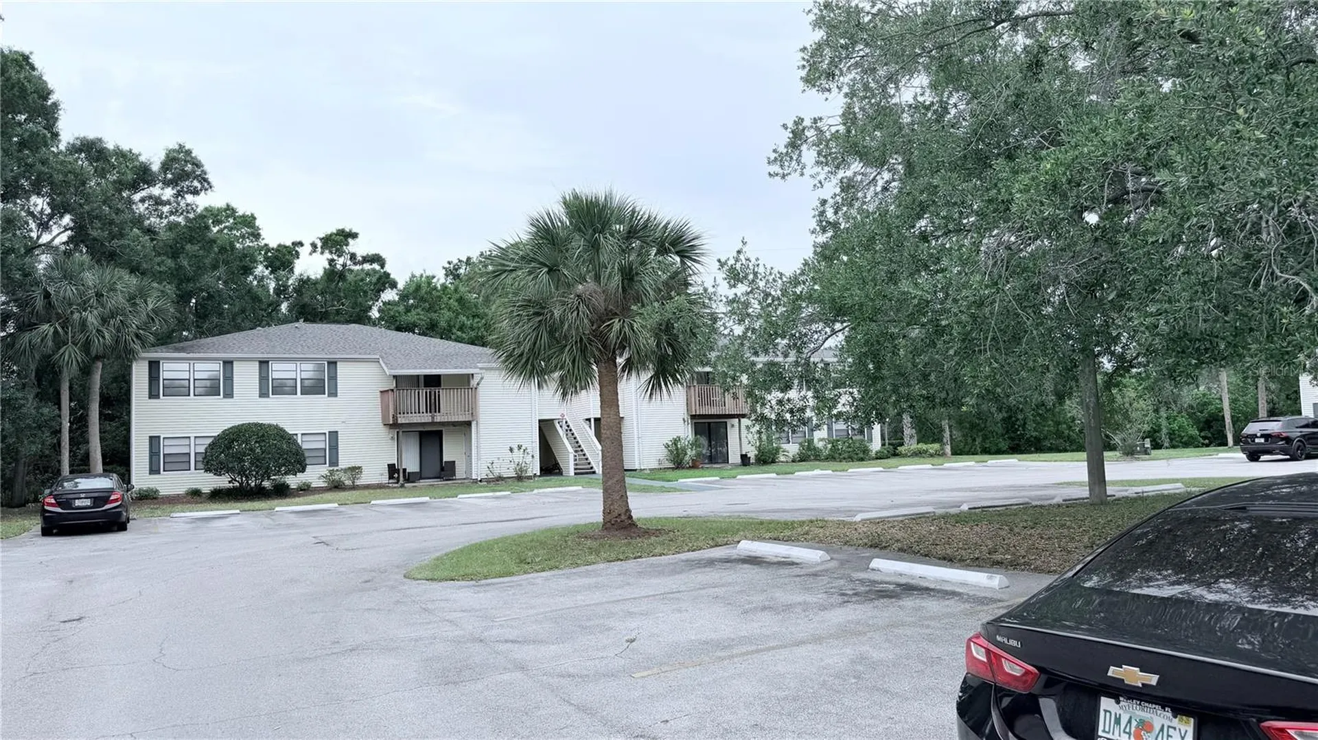 131 Sabal Court Oldsmar FL 34677