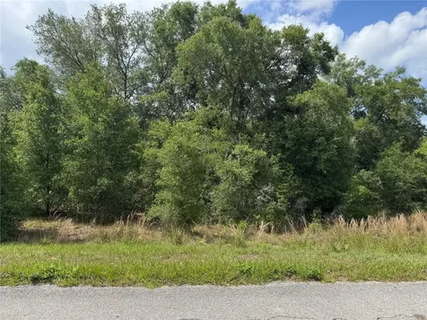 TBD Keene Road Altoona FL 32702