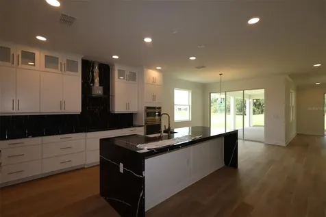 3035 Solace Way Orlando FL 32820