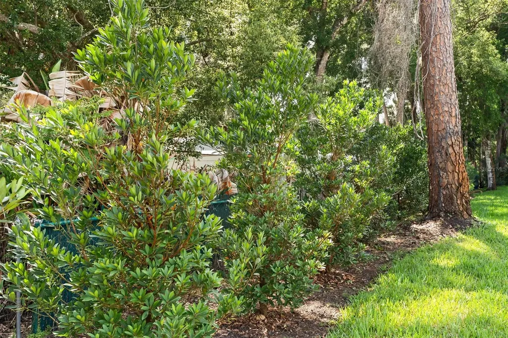 247 Debary Drive Debary FL 32713