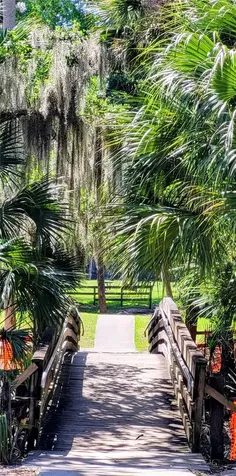 247 Debary Drive Debary FL 32713
