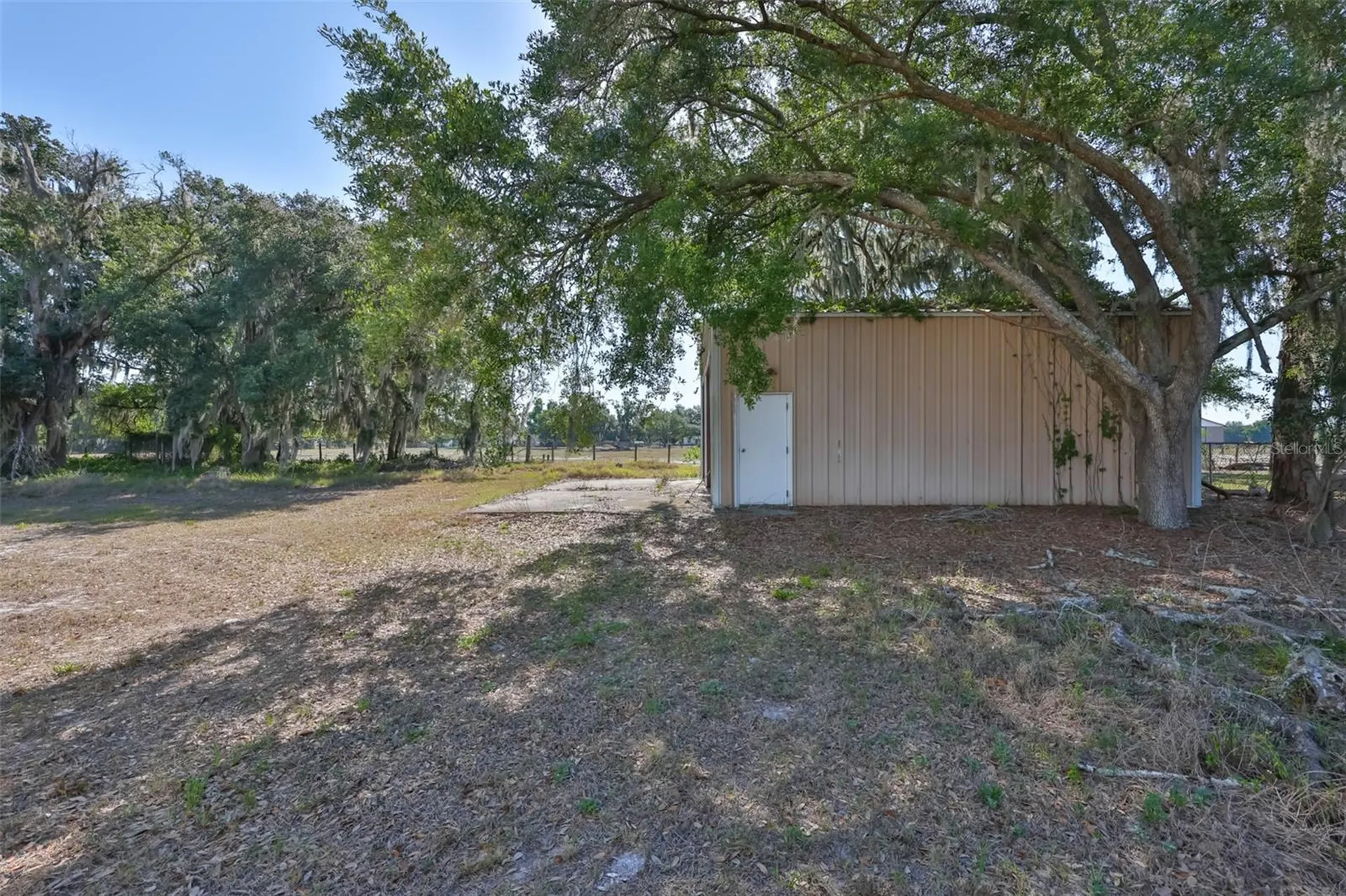 2710 Lewis Road Dover FL 33527