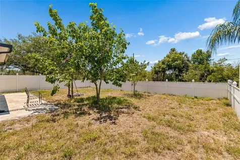 8718 Sandy Plains Drive Riverview FL 33578