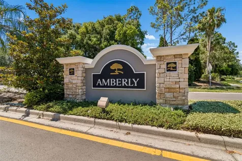 8718 Sandy Plains Drive Riverview FL 33578