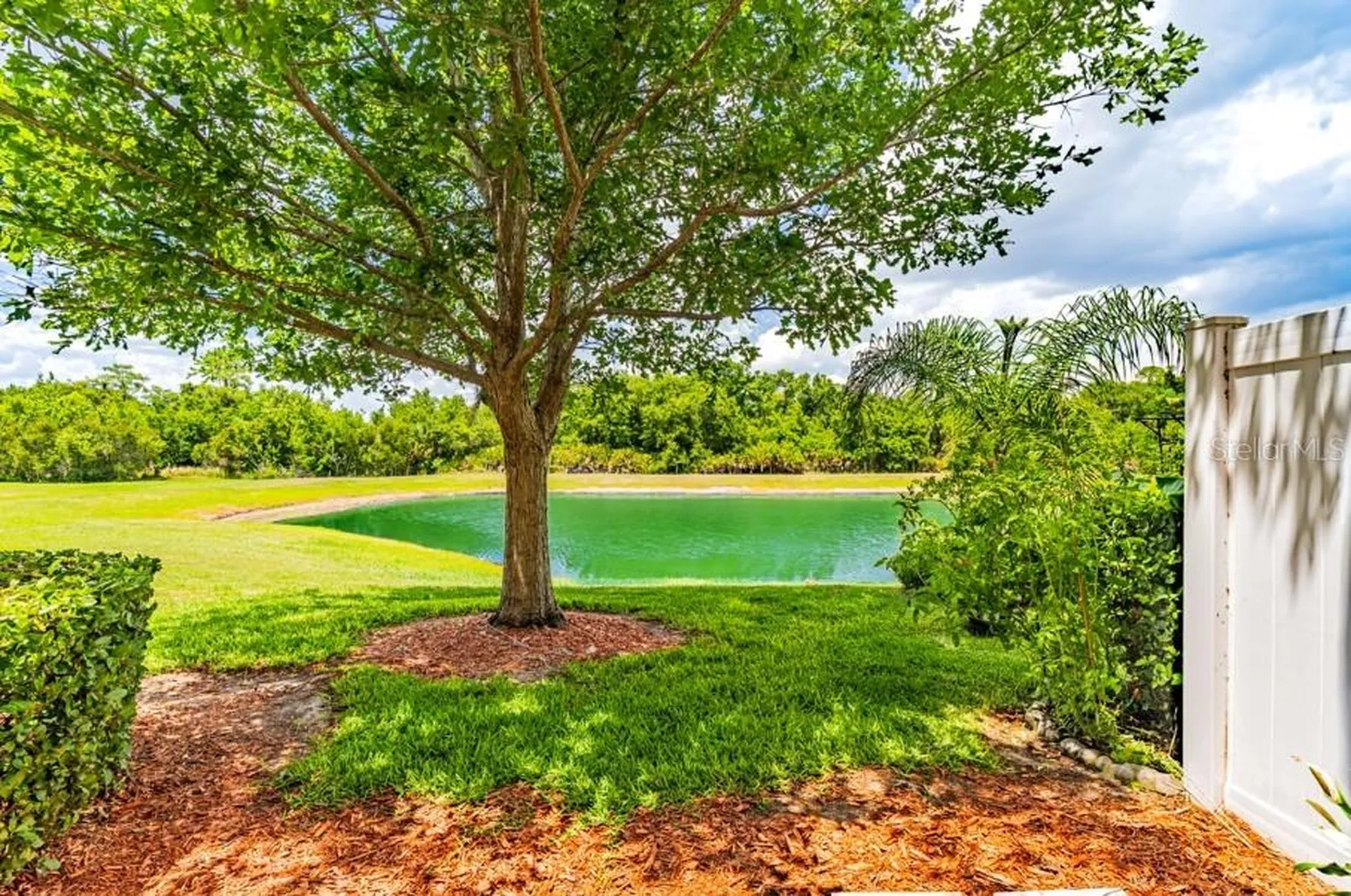1253 Honey Blossom Drive Orlando FL 32824