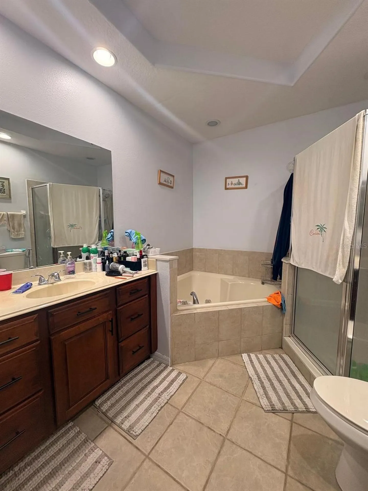2280 Chatham Place Drive Orlando FL 32824