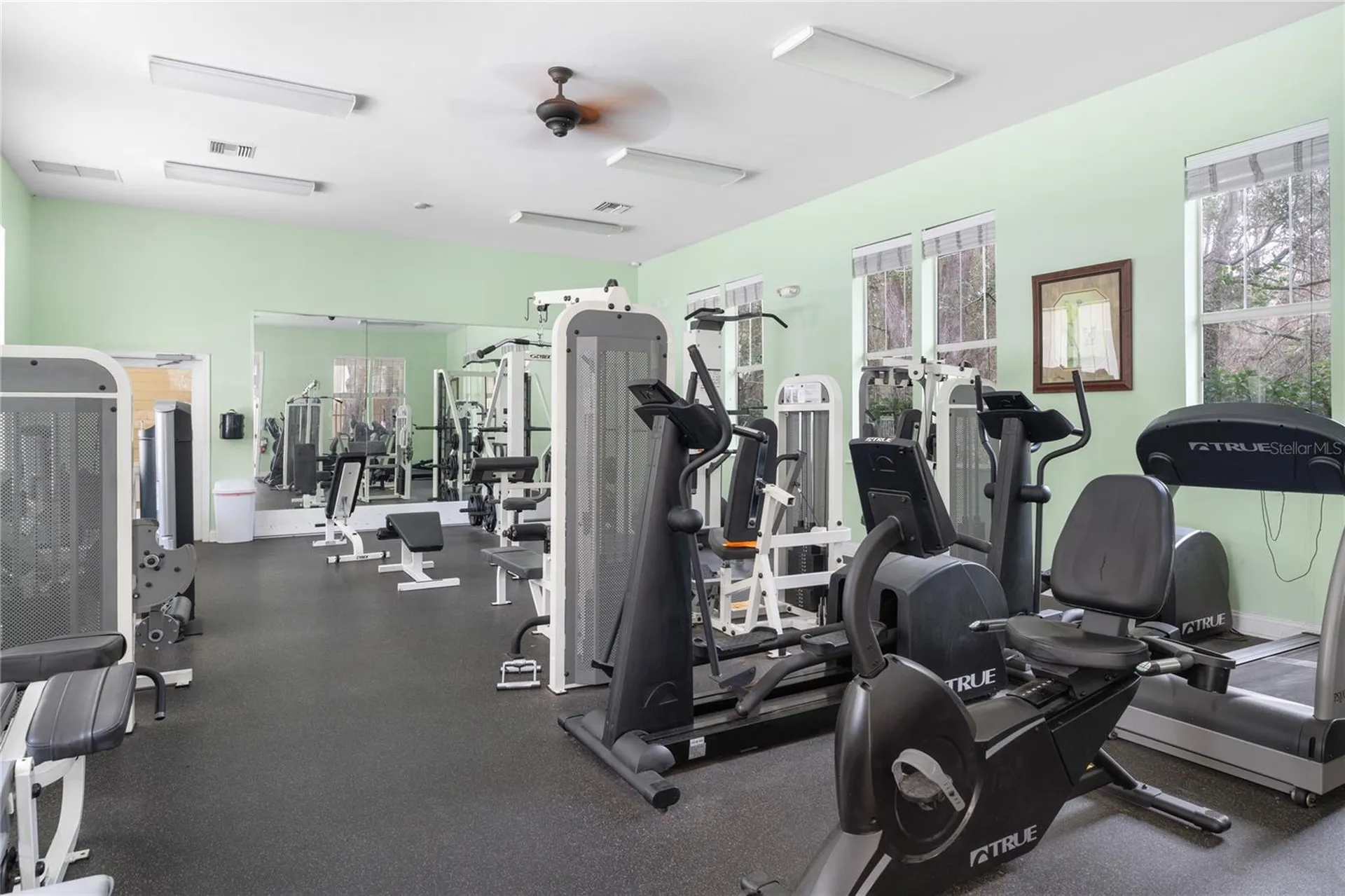 5043 SW 91 Drive Gainesville FL 32608